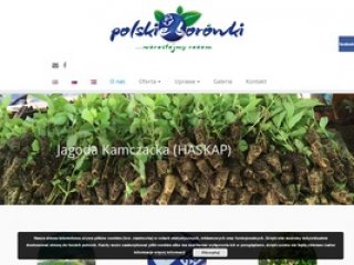 Podgląd polskieborowki.pl