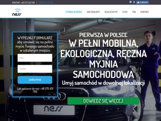 Podgląd ness.auto.pl