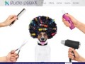 Podgląd studiopsiaka.pl