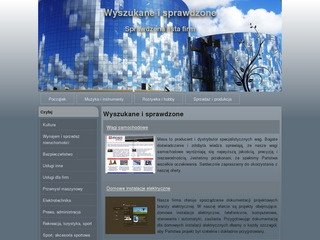 Podgląd zagubieni.pl