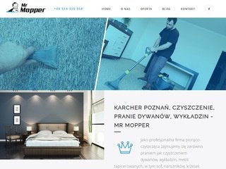 Podgląd mr-mopper-sprzatanie.pl
