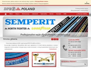 Podgląd dprs.com.pl