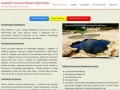 Podgląd twojpsycholog.info.pl