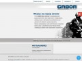 Podgląd gabor-security.pl