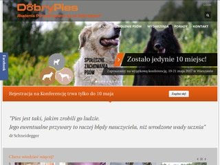 Podgląd dobrypies.pl