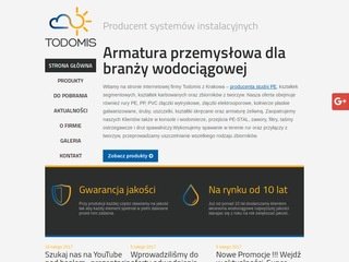 Podgląd todomis.pl