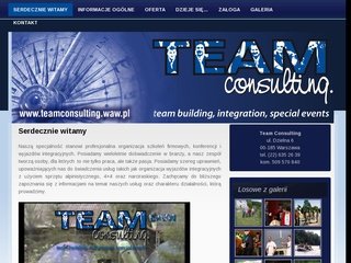 Podgląd teamconsulting.waw.pl