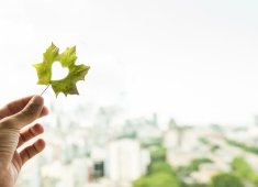Nowy audyt energetyczny i wiadectwo energetyczne w Programie Czyste Powietrze