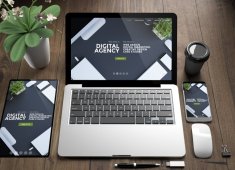 Podgląd Strony internetowe Zgierz - Strony internetowe Pabianice - Strony internetowe Kutno