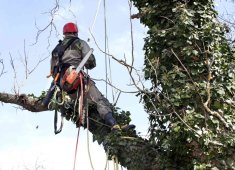 Podgląd Prace na wysokościach Łódź - Prace alpinistyczne Łódź - Prace ogrodnicze Łódź