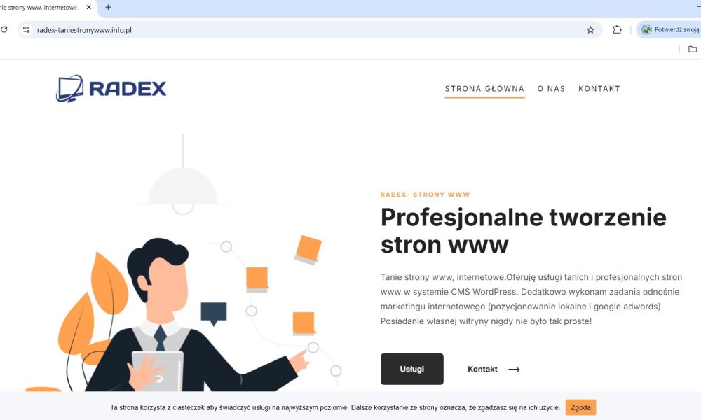 Podgląd Tanie strony WWW skuteczna obecność online w rozsądnej cenie