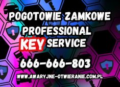 Awaryjne otwieranie aut i mieszkań w Świebodzinie. Jak uniknąć problemów z zatrzaśniętymi kluczami?