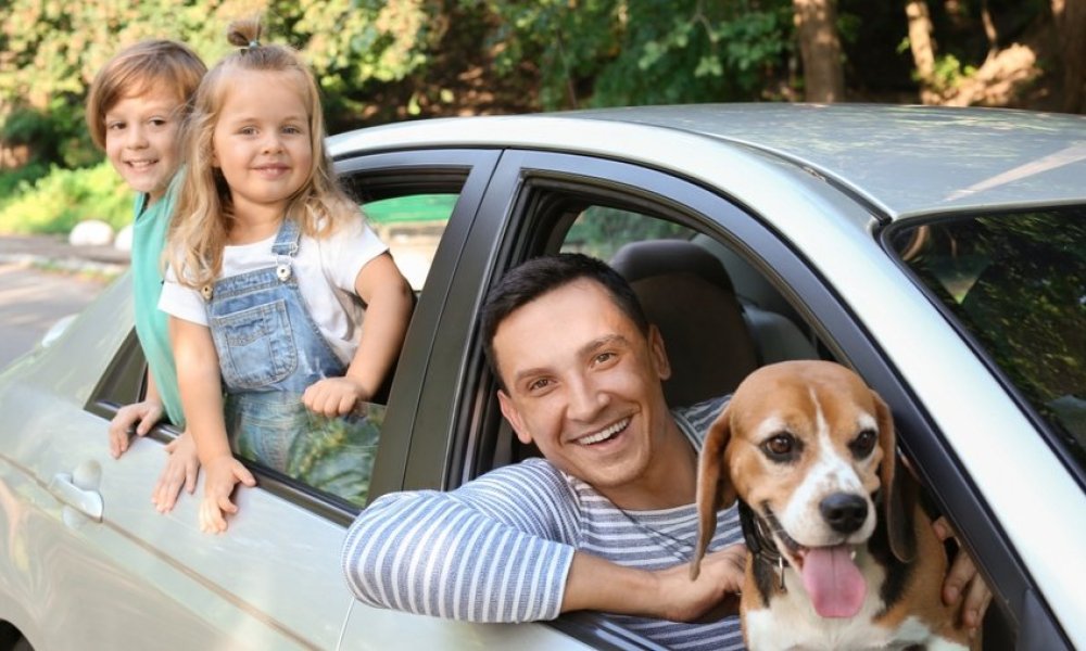 W czasie podróży dzieci się nudzą - jak zabawić dzieci podczas jazdy samochodem?